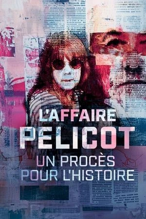 Regarder L'affaire Pelicot : un procès pour l'histoire en streaming complet