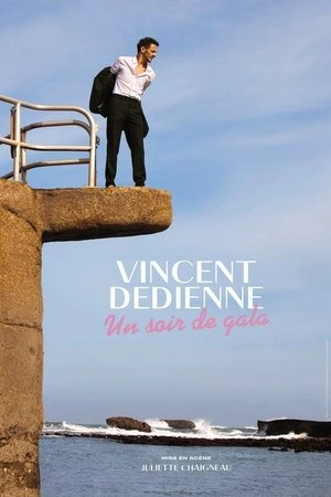Regarder Vincent Dedienne - Un soir de Gala en streaming complet