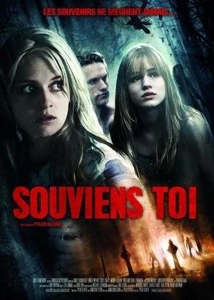 Regarder Souviens-toi en streaming complet