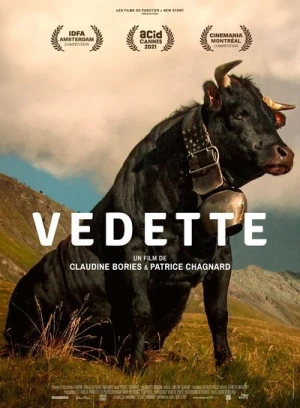 Regarder Vedette en streaming complet