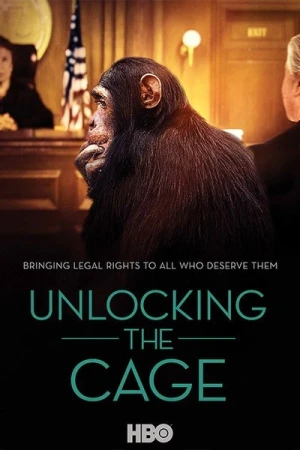 Regarder L'Avocat Des Chimpanzés en streaming complet