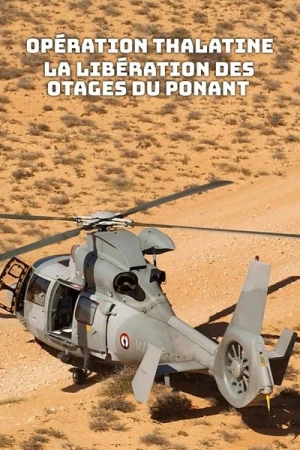 Regarder Opération Thalatine : La libération des otages du Ponant en streaming complet