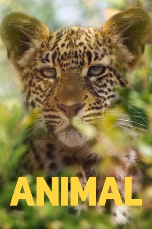 Regarder Le Règne Animal - Saison 1 en streaming complet