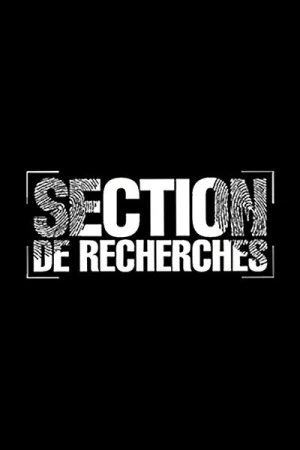 Regarder Section De Recherches - Saison 17 en streaming complet