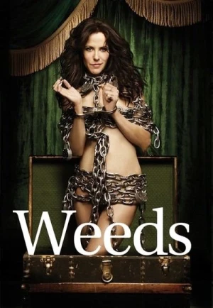 Regarder Weeds - Saison 7 en streaming complet