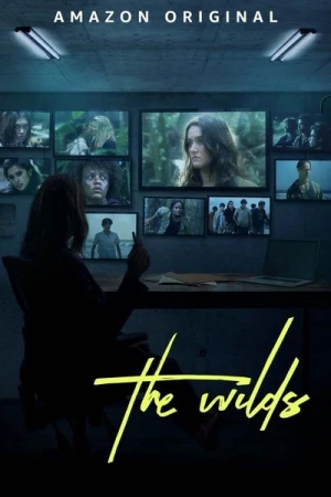 Regarder The Wilds - Saison 2 en streaming complet