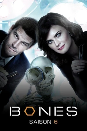 Regarder Bones - Saison 6 en streaming complet